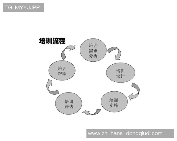 提升足球教练员职业素养的必备证书与培训课程解析
