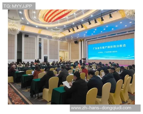 兰斯足球俱乐部的辉煌历程与未来发展展望分析